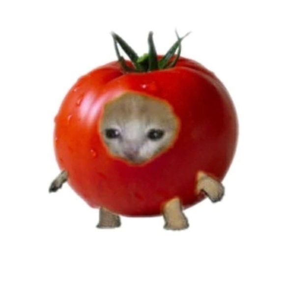 isabelleefrahmm